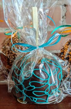 Chocolate & Caramel Covered Apple